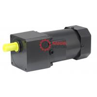 SNP 40W İndüksiyon Motor