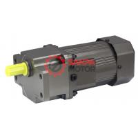 SNP 40W İndüksiyon Motor