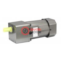 SNP 120W İndüksiyon Motor