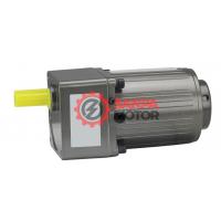 SNP 10W İndüksiyon Motor